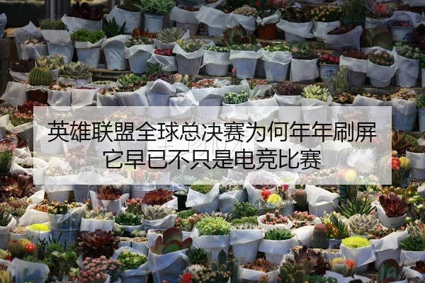 英雄联盟全球总决赛为何年年刷屏 它早已不只是电竞比赛